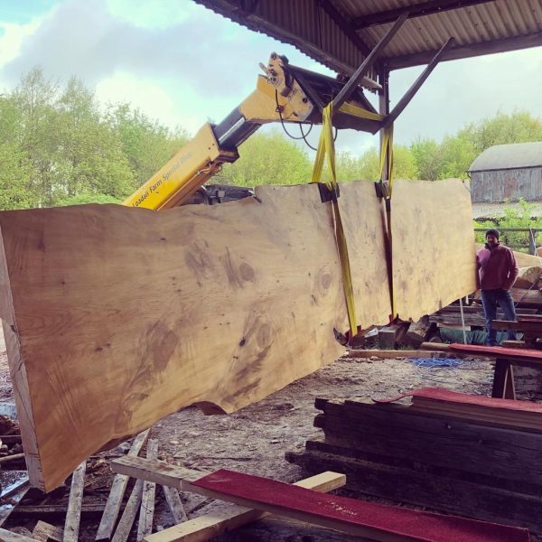 giant cedar table