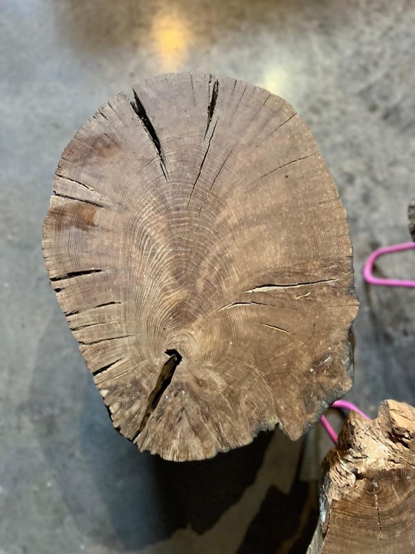 1f711287-7041-42dd-8f8f-dbd834060c3e 2