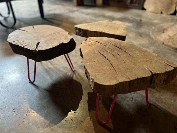 8f2601a0-b56f-492f-869a-2557e821400d